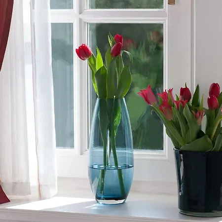 Ferienhaus Ferien Domizil Lörkiwai 3